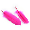 Goose Feather Costume Accessories X-FIND-Q044-02-2