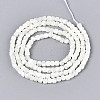 Natural Trochid Shell/Trochus Shell Beads Strands SSHEL-N041-04A-01-2