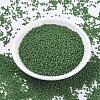 MIYUKI Round Rocailles Beads SEED-G007-RR0411F-2