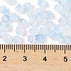 Frosted Glass Beads X1-FGLA-D300-01K-4