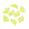 Transparent Acrylic Pendants FACR-R007-12-01-1