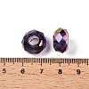 Transparent Glass European Beads GPDL-N005-D14mm-A16-3