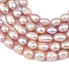 Natural Cultured Freshwater Pearl Beads Strands PEAR-F020-26C-4