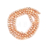 Natural Cultured Freshwater Pearl Beads Strands PEAR-P064-19B-05C-3