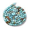 Natural Howlite Beads Strands G-G001-A03-06-3