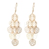 Brass Dangle Earrings EJEW-B157-02C-G-4