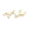 Rack Plating Alloy Pendants PALLOY-T091-34G-2