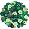 Resin Buttons DIY-SP0007-79-1