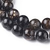Natural Biotite Beads Strands G-L528-06B-2