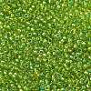MIYUKI Round Rocailles Beads X-SEED-G007-RR3739-2