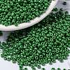MIYUKI Round Rocailles Beads SEED-JP0009-RR0431-1