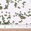 MIYUKI Delica Beads SEED-X0054-DB1585-4