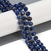 Natural Sesame Jasper Dyed Beads Strands G-H057-A21-04-2