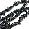 Natural Black Tourmaline Chip Bead Strands G-L444-08-2