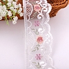 Polyester Lace Trim Ribbons PW-WG55501-02-1-2