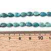 Natural Turquoise Beads Strands G-B159-A13-5