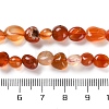 Natural Carnelian Beads Strands G-P497-01C-35-5