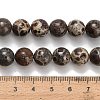 Natural Astroite Jasper Beads Strands G-H329-C02-10mm-5