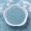 MIYUKI Delica Beads SEED-X0054-DB0217-2