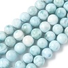 Natural Larimar Beads Strands G-B141-01-8mm-2