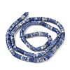 Natural Sodalite Beads Strands G-P468-19-5