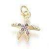 Brass Micro Pave Cubic Zirconia Charms ZIRC-I032-54G-1