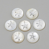 Freshwater Shell Pendants X-SHEL-Q010-001P-1