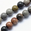 Natural Ocean Agate/Ocean Jasper Beads Strands G-G735-05-6mm-1