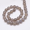 Natural Grey Agate Beads Strands G-G580-10mm-08-2