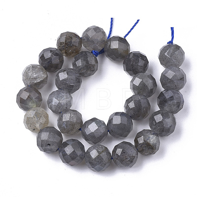 Natural Labradorite Beads Strands G-S345-8mm-005-1