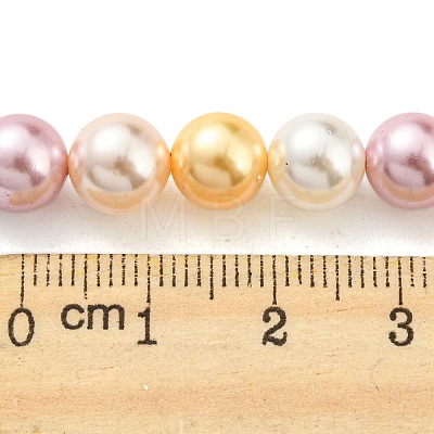 Electroplated Natural Shell Beads Strands SHEL-F008-03B-05-1