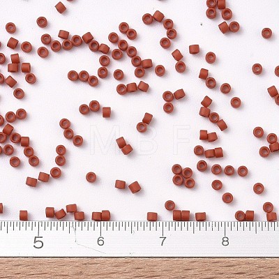 MIYUKI Delica Beads X-SEED-J020-DB2288-1