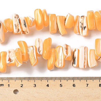 Dyed Natural Trochus Shell Beads Strands SSHEL-C013-09C-1