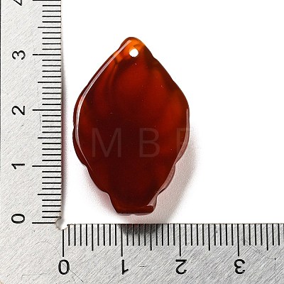 Dyed Natural Agate Carved Pendants G-A098-01D-1