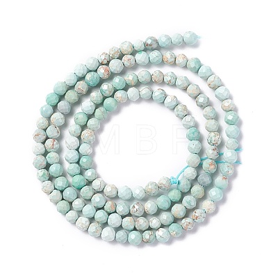 Natural Imperial Jasper Beads Strands G-L578-A04-1