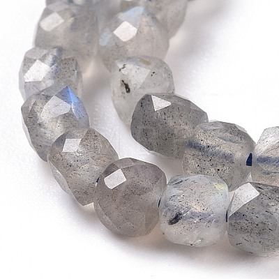 Natural Labradorite Beads Strands G-D0003-B10-1
