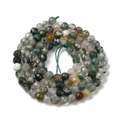 Natural Tree Agate Beads Strands G-H302-A03-02-1