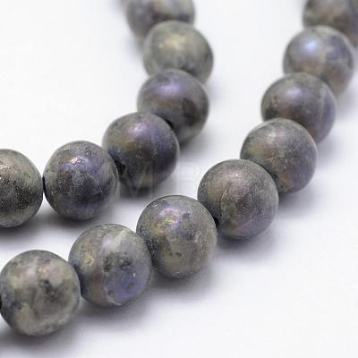 Electroplate Natural Labradorite Beads Strands G-F518-05-10mm-1