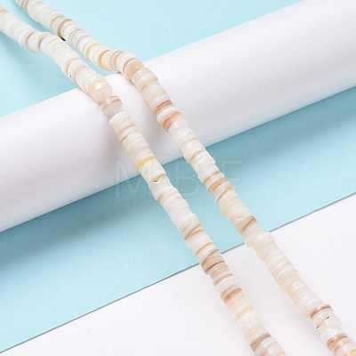 Freshwater Shell Beads Strands SHEL-G011-09-A02-1