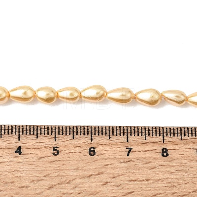 Electroplated Shell Pearl Beads Strands BSHE-C010-01B-1