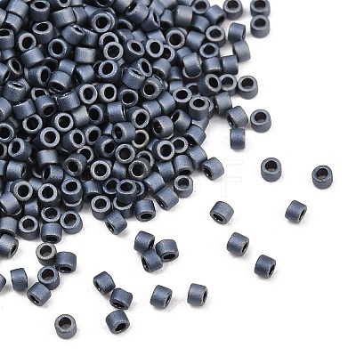 MIYUKI Delica Beads X-SEED-J020-DB0301-1