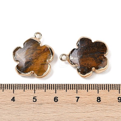 Natural Tiger Eye Pendants G-P566-01G-07-1