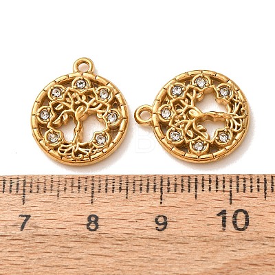 304 Stainless Steel Rhinestone Pendants RB-CBA5CCB-04G-1