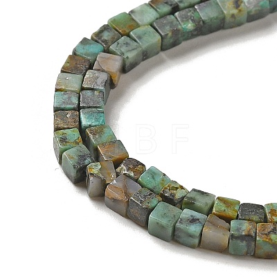 Natural African Turquoise(Jasper) Beads Strands G-B064-A13-1