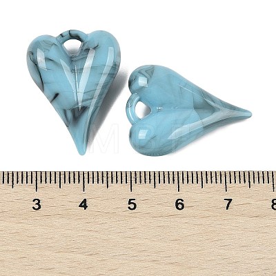 Acrylic Pendants LS-OACR-M025-01C-1