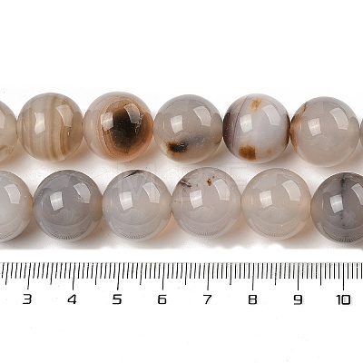 Natural Dendritic Agate Beads Strands G-A248-A07-07-1