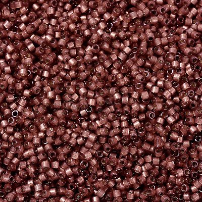 MIYUKI Delica Beads SEED-X0054-DB2179-1