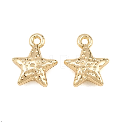 Alloy Charms AL-CBA83D5-07G-1