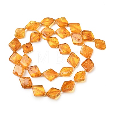 Natural Amber Beads Strands G-Z106-D01-02-1