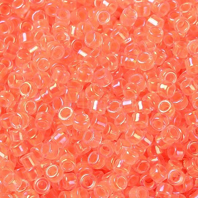 Glass Seed Beads SEED-S042-13A-06-1
